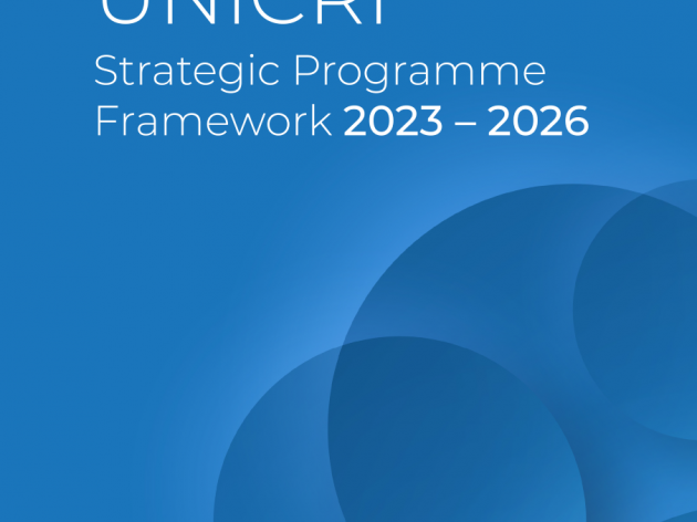 Strategic Programme Framework